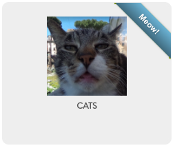 Cats